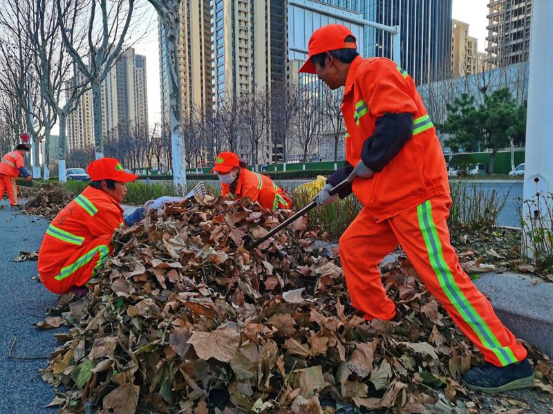 物业费收取：城市的脉动与温度