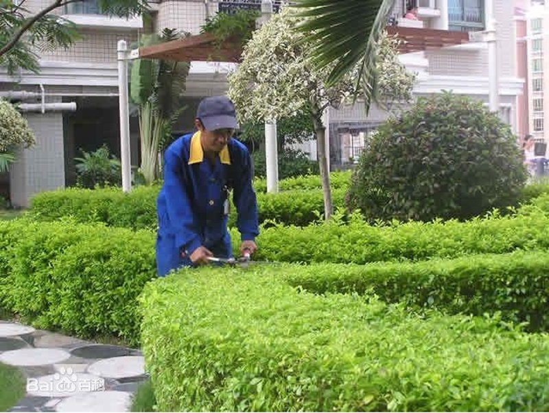 智慧物业让小区生活更美好